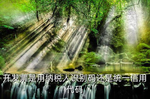 開發票是用納稅人識別碼還是統一信用代碼