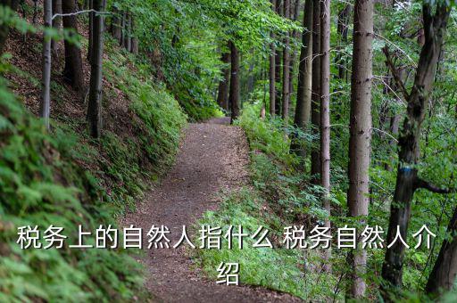 稅務上的自然人指什么 稅務自然人介紹