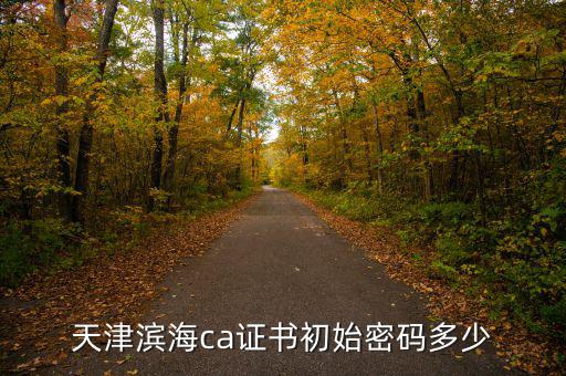 天津ca密碼是什么意思，天津社?？ǔ跏济艽a是多少啊 我是中國銀行的