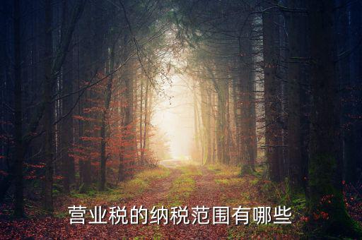 什么經(jīng)營(yíng)范圍可以開(kāi)營(yíng)業(yè)稅，營(yíng)業(yè)稅的納稅范圍有哪些