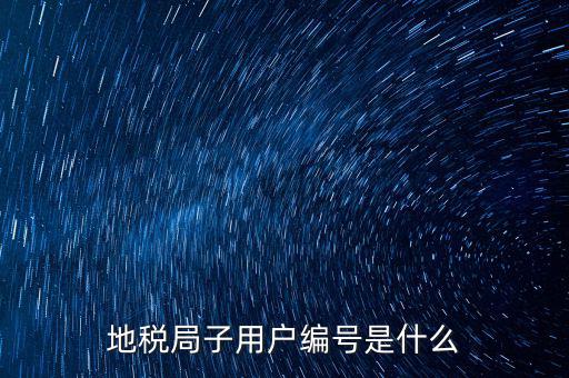 地稅網用戶 子賬戶是指什么，地稅的用戶名是什么