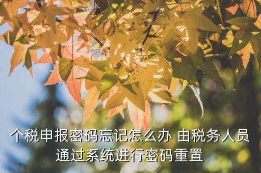 地稅重置密碼需要什么，重置個稅申報密碼需要什么