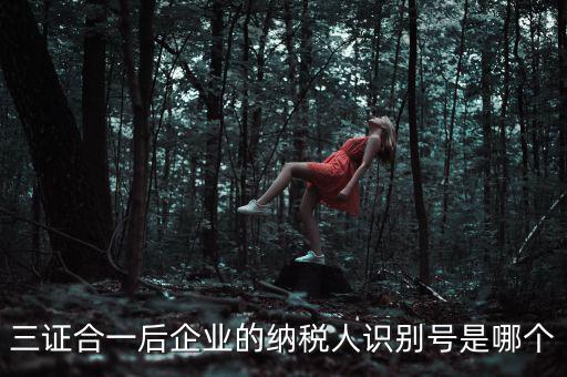 三證合一后企業的納稅人識別號是哪個