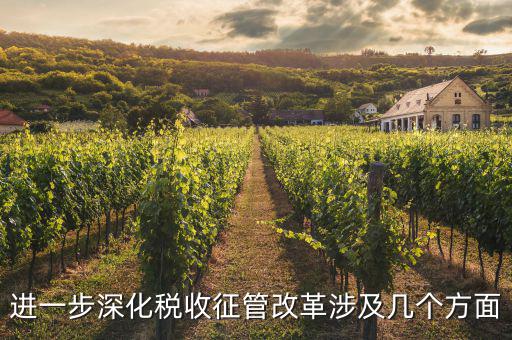 稅務改革 發展要什么，論述個人所得稅改革的基本原則