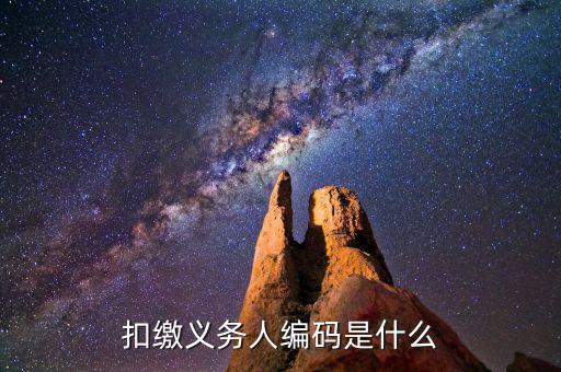 個稅系統扣繳義務人編碼是什么，扣繳義務人編碼是什么