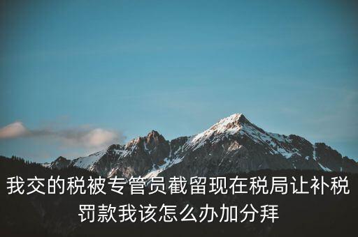 稅務人員截留稅款受什么處分，我交的稅被專管員截留現在稅局讓補稅罰款我該怎么辦加分拜