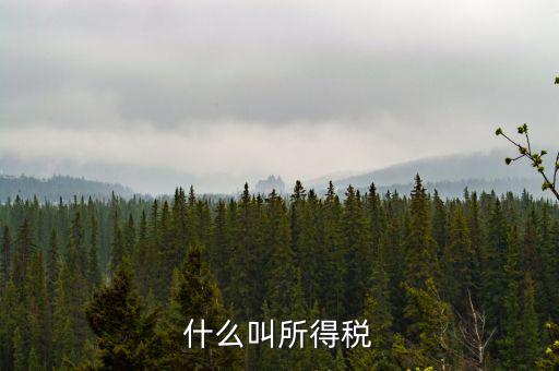 居民企業所得稅是什么，居民企業所得稅月度預繳納稅申報收入指什么時候的
