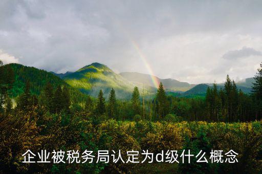 企業被稅務局認定為d級什么概念