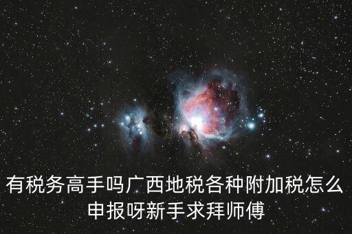 廣西地稅每個月要申報什么內(nèi)容，有稅務高手嗎廣西地稅各種附加稅怎么申報呀新手求拜師傅