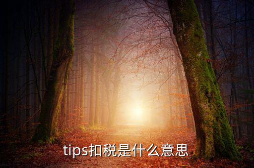 國稅tips系統指什么意思，電子對賬單上摘要一欄寫有tips是什么意思