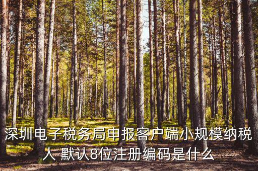 深圳納稅人編號是什么，什么是深圳市國稅百元開頭發票的納稅人識別號
