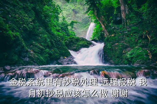 通過航天遠程申報讀卡器讀寫數(shù)據(jù)是個什么樣的過程，金稅系統(tǒng)里有抄稅處理 遠程報稅 我月初抄稅應(yīng)該怎么做 謝謝