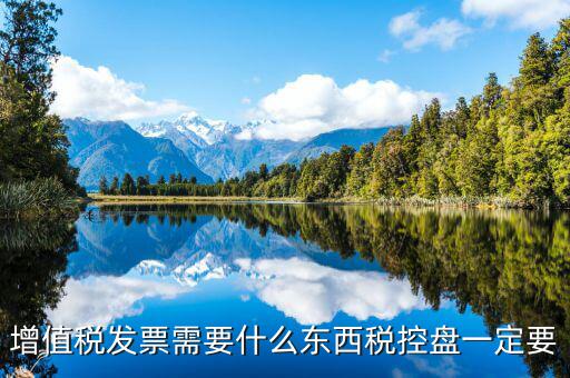 發票打印需要什么盤，調試打印增值稅發票的打印機要插入金稅盤嗎