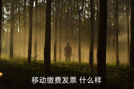 移動電子發票什么樣，移動繳費發票 什么樣