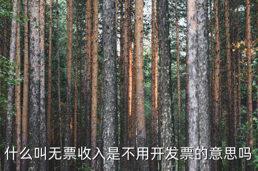 什么叫無票收入是不用開發票的意思嗎
