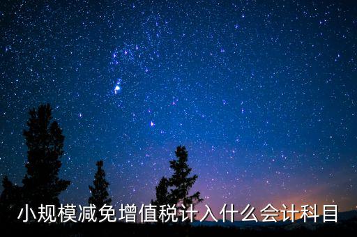 小規模減免增值稅計入什么會計科目