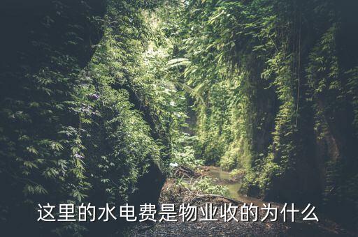 這里的水電費是物業收的為什么