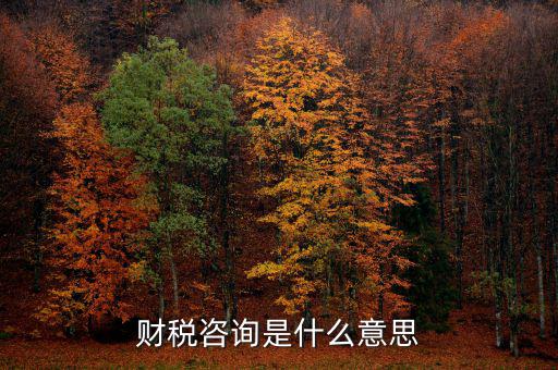 深圳稅務納稅咨詢平臺是什么意思，財稅咨詢是什么意思