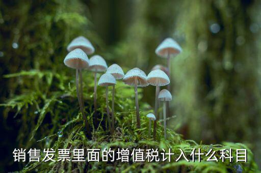 發(fā)票稅金入什么科目，開票稅金計(jì)入什么科目