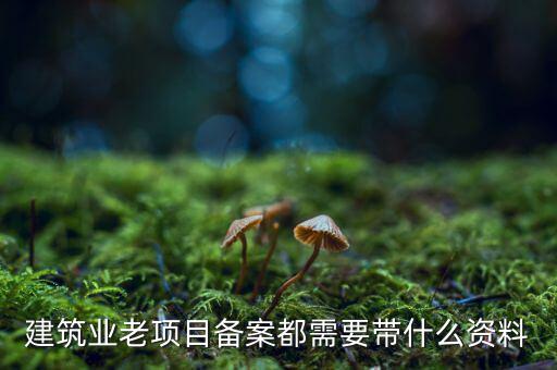 建筑業老項目備案都需要帶什么資料