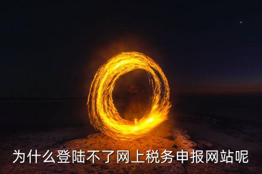 為什么登陸不了網上稅務申報網站呢