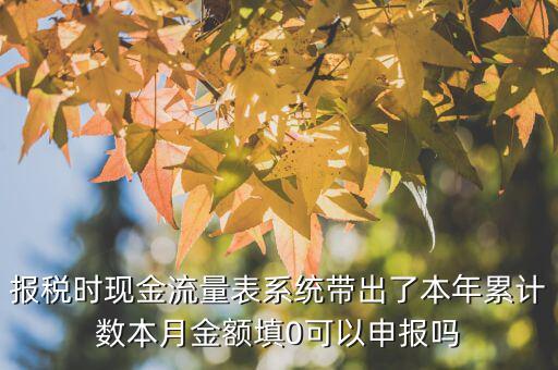 報稅時現金流量表系統帶出了本年累計數本月金額填0可以申報嗎