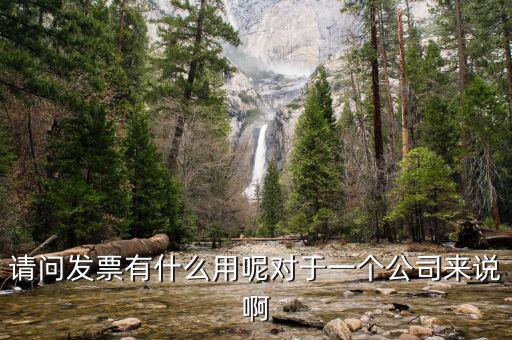 請問發票有什么用呢對于一個公司來說啊