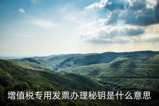 國稅密鑰是什么，增值稅專用發票辦理秘鑰是什么意思