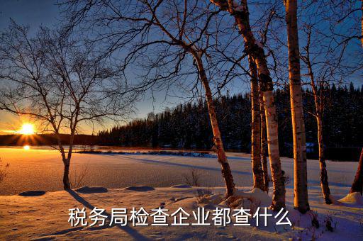 北京市稅務局主要查什么，稅務查賬一般查什么內容