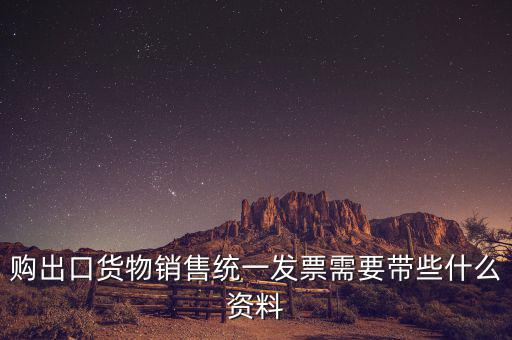 購出口貨物銷售統一發票需要帶些什么資料