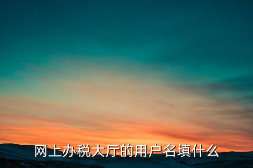 網上辦稅大廳的用戶名填什么