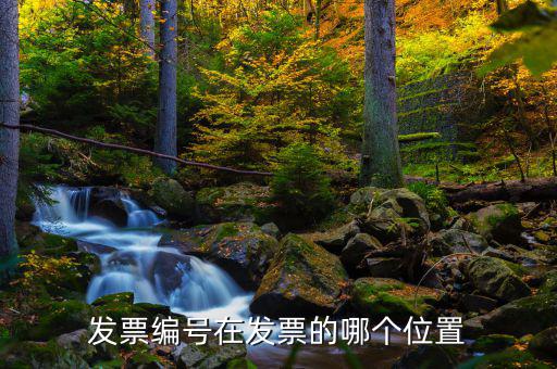 發票編號在發票的哪個位置