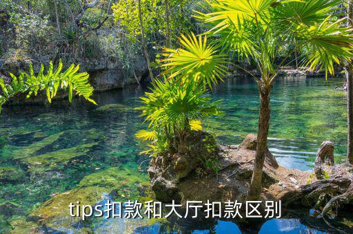 tips扣款和大廳扣款區別