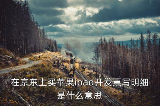 在京東上買蘋果ipad開發票寫明細是什么意思