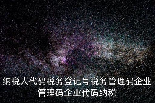 納稅人管理代碼是什么，納稅人代碼稅務(wù)登記號稅務(wù)管理碼企業(yè)管理碼企業(yè)代碼納稅