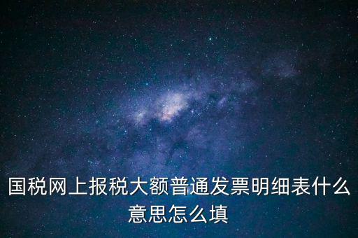 國稅網上報稅大額普通發票明細表什么意思怎么填