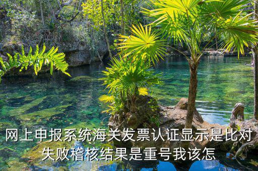 網上申報系統海關發票認證顯示是比對失敗稽核結果是重號我該怎