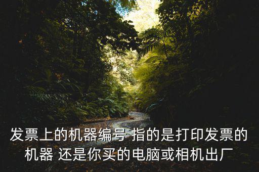 發票上的機器編號 指的是打印發票的機器 還是你買的電腦或相機出廠
