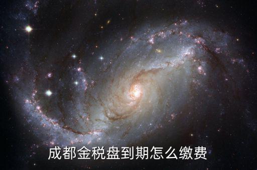 金稅盤續費需要帶什么，社保數字證書在線更新的領發票時要帶什么資料