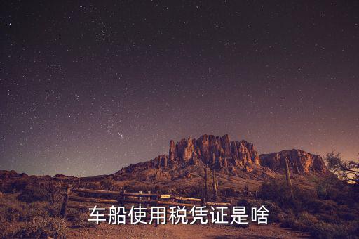 車船稅繳納憑證是什么意思，車船使用稅憑證是啥