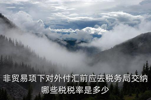 為什么非貿易付匯要繳稅，公司剛剛做了筆非貿易付匯紅利股息匯出問一下匯出金額是要扣