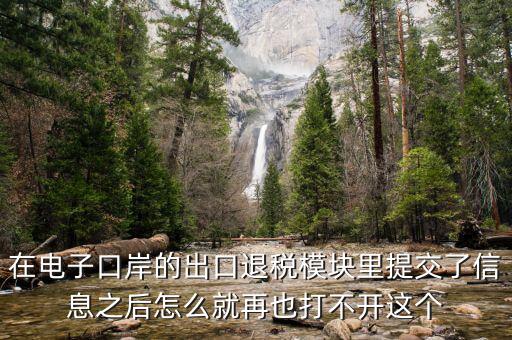 為什么退稅平臺進不去，在電子口岸的出口退稅模塊里提交了信息之后怎么就再也打不開這個