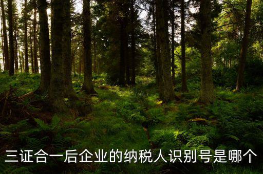 三證合一的納稅人識別號是什么，三證合一后企業的納稅人識別號是哪個