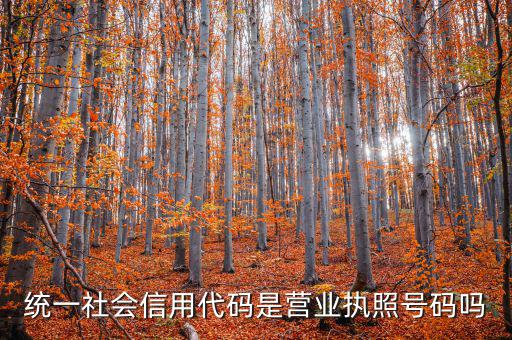 統一社會信用代碼是營業執照號碼嗎