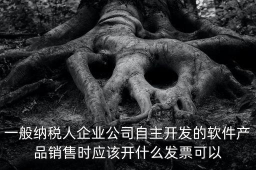 賣軟件交什么稅，一般納稅人企業(yè)公司自主開發(fā)的軟件產(chǎn)品銷售時(shí)應(yīng)該開什么發(fā)票可以