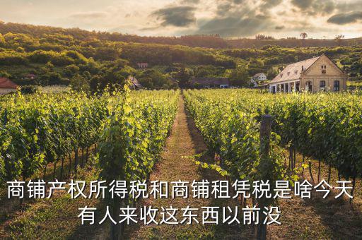 什么是商鋪?zhàn)赓U稅，商鋪出租應(yīng)交哪些稅