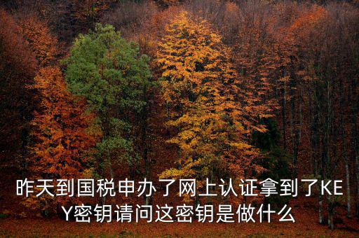 昨天到國稅申辦了網上認證拿到了KEY密鑰請問這密鑰是做什么