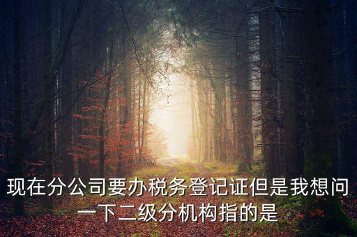 現在分公司要辦稅務登記證但是我想問一下二級分機構指的是