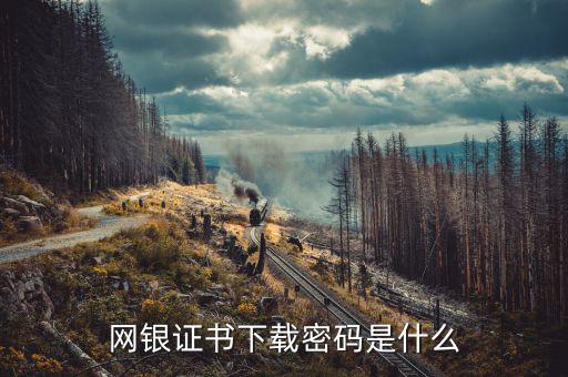 網銀證書下載密碼是什么