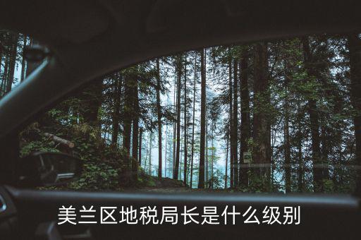 美蘭區地稅局長是什么級別